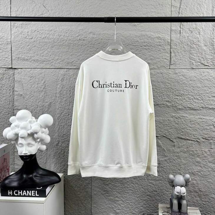 Picture of Dior Sweatshirt _SKUDiorS-2XLtltx5531821